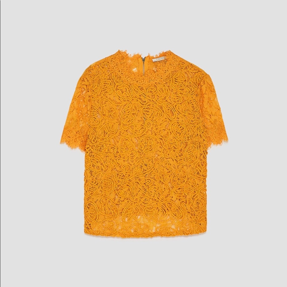 Zara Embroidered Lace top